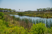 DSC_4342